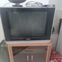تلویزیون