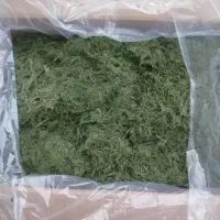 نعنا و شوید فارس|عمدهفروشی|رستاق, |دیوار