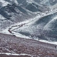 نان خشک آبگوشتی