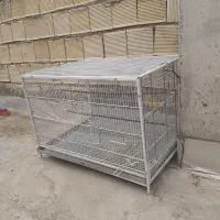 قفس|لوازم جانبی حیوانات|اصفهان, اشکاوند|دیوار