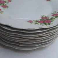 پلو خوری گل سرخی