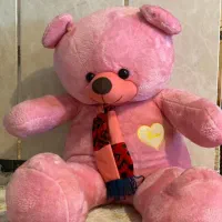 خرس مخصوص ولنتاین