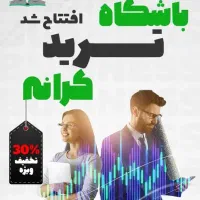 آموزش ۰ تا ۱۰۰ در باشگاه ترید(فارکس و ارز دیجیتال)|خدمات آموزشی|شیراز, زرهی|دیوار