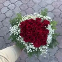 رز طبیعی فقط و فقط 50 تومان|گل و گیاه طبیعی|رشت, دیلمان|دیوار