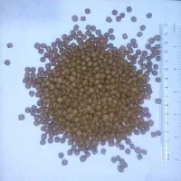 غذای ماهی کوی با کیفیت و قیمت مناسب (ایرانی)|ماهی|مشهد, فرهنگ|دیوار