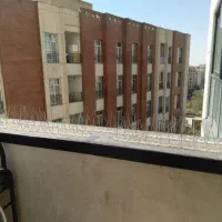 شاخک دفع پرندگان|فروشگاه و مغازه|تهران, بوستان چیتگر|دیوار