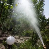 باغبانی و تیلرهرس در تمام نقاط مشهد|خدمات باغبانی و درختکاری|مشهد, توس (بلوار توس)|دیوار