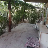 املاک دامداری 49راسی 5000متر|فروش دفتر صنعتی، کشاورزی، تجاری|دشتابی, |دیوار