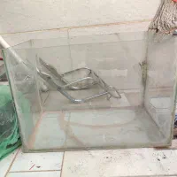 آکواریوم سالم به همراه سنگها