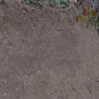 همنورد برای طبیعت گردی