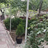 فروش باغچه روستای وردیج منطقه ۲۲ تهران|فروش خانه و ویلا|کن, |دیوار