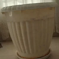 گلدان پلاستیکی بزرگ