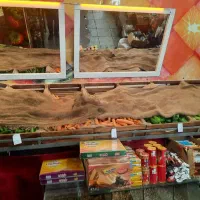 واگذاری مغازه سوپری و میوه فروشی و خشکبار|اجارهٔ مغازه و غرفه|یزد, |دیوار