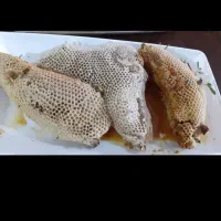 عسل وحشی جنگلی سرشاخه طبیعی درمانی|خوردنی و آشامیدنی|قم, زند آباد|دیوار