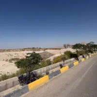 زمین مزرعی کشاورزی دارای سند مشاع بدون مشکل ۱۳ قصب