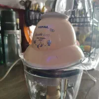 خرد کن اصل فرانسه تفال