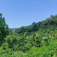 270متر زمین دینارسرا با سند ششدانگ|فروش زمین و ملک کلنگی|نشتارود, |دیوار