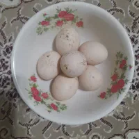 فروش تخم مرغ