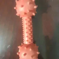 دندونی و اسباب بازی‌ سگ