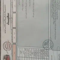 کوییک s|خودرو سواری و وانت|شاهین‌شهر, شهرک ردانی پور|دیوار