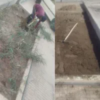 نصب شید و احیای باغچه رو به ما بسپارید