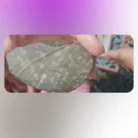 شهاب سنگ کلکسیونی