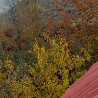 اجاره روزانه/هفتگی/ماهانه ویلا ۱۶۰ متری|اجارهٔ کوتاه‌مدت ویلا و باغ|کوهسار (البرز), |دیوار