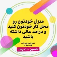 کار آنلاین در خانه