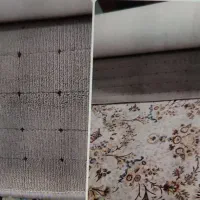 موکت نیلوفر