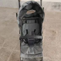 کالسکه دلیجان عصایی