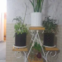 جا گلدان و گلدان طبیعی