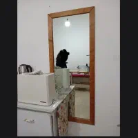 رگال،آینه