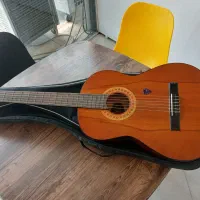 گیتارverona p500