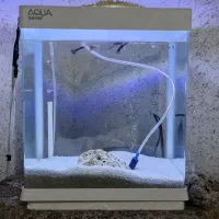 اکواریوم به همراه ماهی|ماهی|فولادشهر, مسکن مهر فولادشهر|دیوار