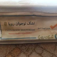 تشک 3عدد|تشک تختخواب|اهواز, حصیرآباد|دیوار