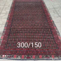 فرشهای دستباف بیجار و...|فرش|کرمانشاه, |دیوار