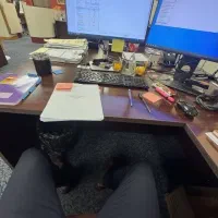 بازگردانی پیج اینستگرام تضمینی|خدمات رایانهای و موبایل|مشهد, سجاد شهر|دیوار