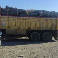 خدمات چوب بری  و هرس درختان|خدمات باغبانی و درختکاری|ساوه, |دیوار