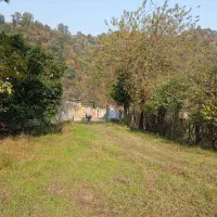 مزایده فروش خانه و زمین در غرب گیلان|فروش خانه و ویلا|حویق, |دیوار