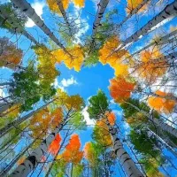 تدریس و کلاس معلم خصوصی ریاضی