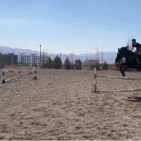 نریان دوخون تروبرد پرشی