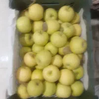 فروش سیب قرمز وسفیدمقدار ۳۰ تن فله