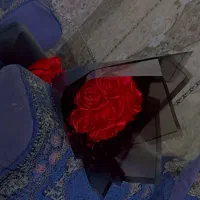 گل ربانی|گل مصنوعی|زاهدان, |دیوار