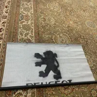 پرده ال ایکسی