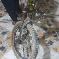 شادگان|دوچرخه، اسکیت، اسکوتر|شادگان, |دیوار