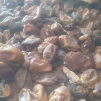 تامین کننده خرمای صادراتی و ضایعاتی|عمده‌فروشی|اهواز, بهارستان|دیوار