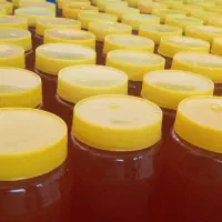 عسل، سرکه سیب