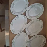 دیس چینی ژاپنی