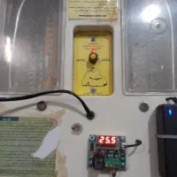 دستگاه جوجه کشی۹۶ تای سالم