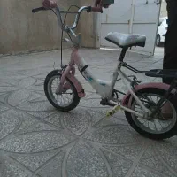 دوچرخه لوتوس 12